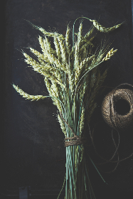 美剧天堂和美剧普通区别：深度解析两者的特点与优势