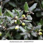 美剧窝:畅享经典与新剧的美剧推荐与解析平台 48gl318c