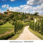 畅享漫岛动漫下载:海量资源随心所欲 49eif4na9