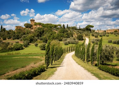 畅享漫岛动漫下载：海量资源随心所欲