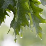 美剧在线观看高清:畅享最新热门剧集,尽在掌握之中! 4f1hk46k