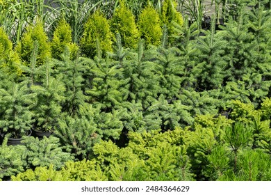 畅享漫画免费大全：海量精彩漫画任你阅读