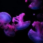 畅享濑亚美莉IPTD619精彩内容在线观看,尽情体验她的魅力 c5pvjxm46v