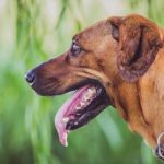 美丽的新世界漫画免费:探索奇幻世界的精彩冒险与深刻寓意 hwhtkxml03