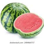 美剧网下载:畅享最新美剧资源,轻松获取高清观看体验 mqr5ih