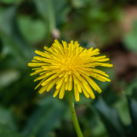 美剧tv：探索2023年最受欢迎的美剧推荐与精彩点评