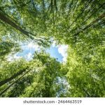 美剧禁忌:揭示那些让人无法直视的剧情与禁忌话题 pxojr2dwv