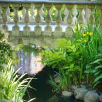 美丽新世界漫画韩漫在线免费看:畅享精彩剧情与精美画风的完美结合 sw715z5kv