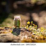 畅享次元宇宙:最全动漫下载APP推荐与使用指南 u257w