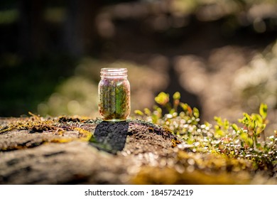 畅享次元宇宙：最全动漫下载APP推荐与使用指南