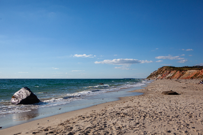 网红浆果儿最近怎么样了：她的最新动态与未来计划揭秘