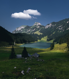 网站在线观看网站：畅享高清影视，尽在一站式在线观看平台