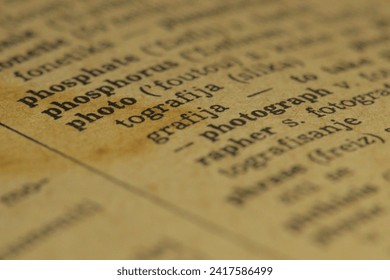 美剧鸟官网分类：全面解析各类美剧资源与观看指南